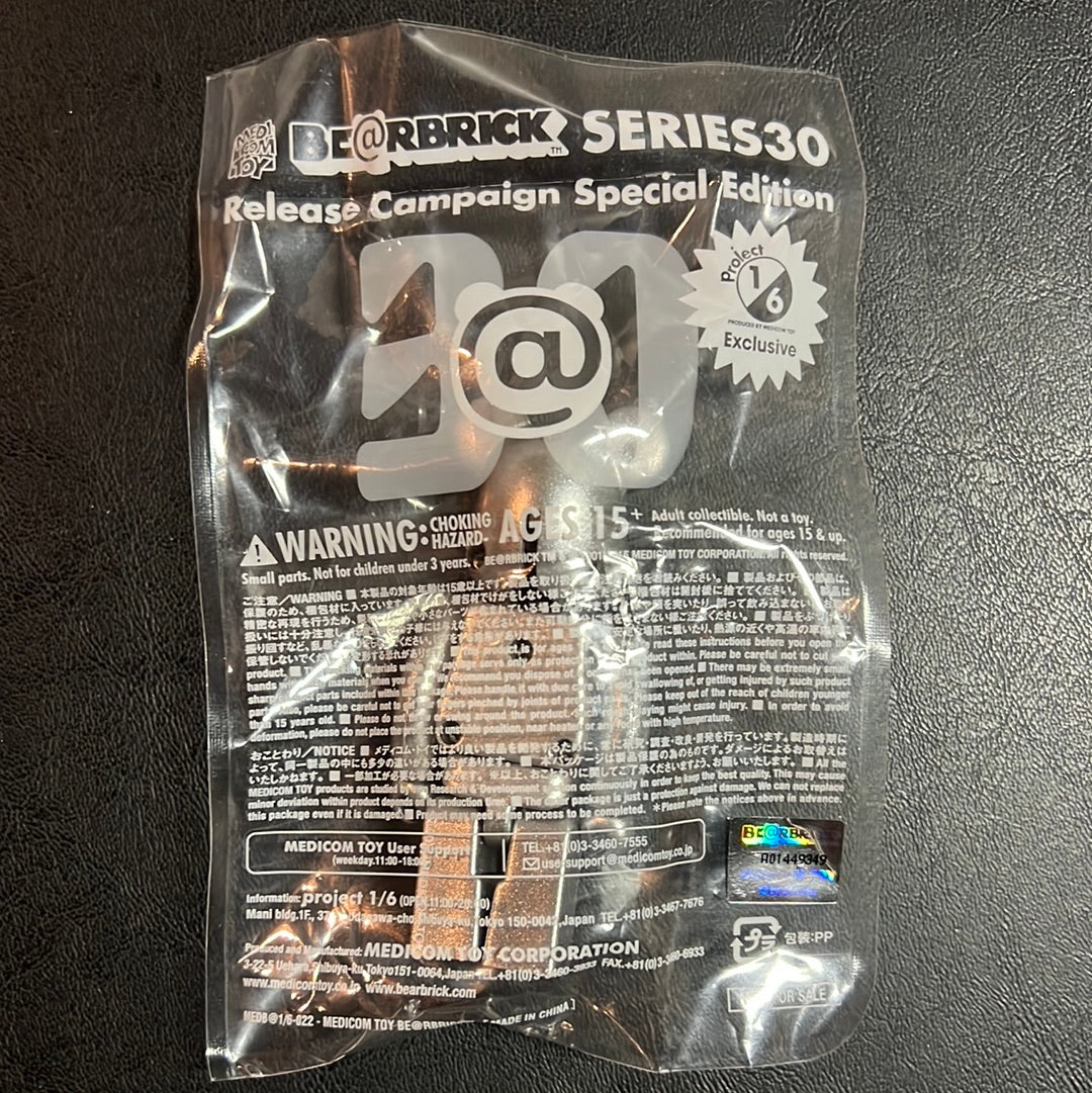 Berbrick 1/6 release campaign Special Edition Series 30 Bearbrick 100%